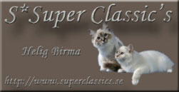 Super Classic Helig Birma